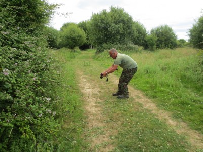 UKB Photographing Large Tortoiseshell at Knepp 5.7.22 (c) Christine Combes.jpg