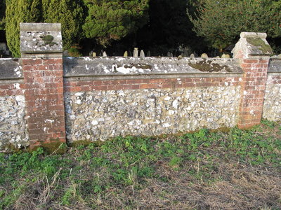 Cemetery wall nettle bed - Crawley, Sussex 17-Nov-2017