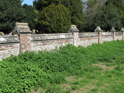 Cemetery wall nettle bed - Crawley, Sussex 18-Apr-2018