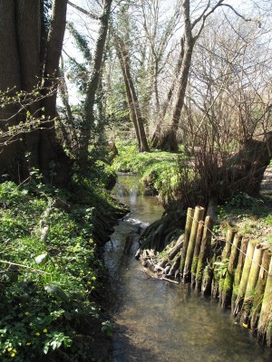 Broadfield stream, Crawley