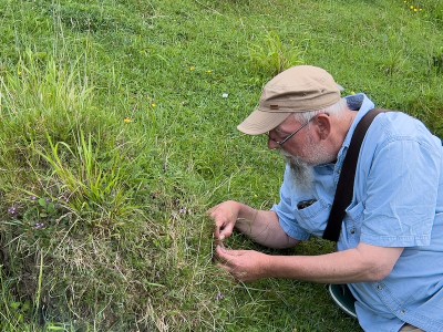 Dave counting eggs on the Thyme heads