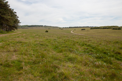 Salisbury Plain, with the ever-present distant sound of gunfire