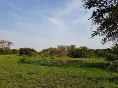 Lake Mburo National Park, Uganda, 24th December 2017