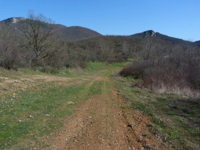 1.Landscape5(1).jpg