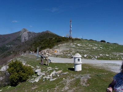 1.Landscape11(1).jpg