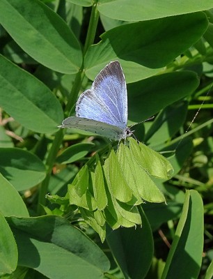 female taking a break after laying