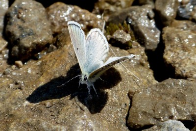 Gavarnie Blue 4.JPG