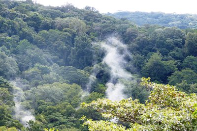 Rainforest volcanic activity.JPG