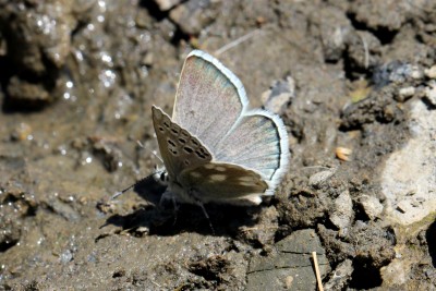 Gavarnie Blue 3.JPG