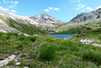 alpine scenery