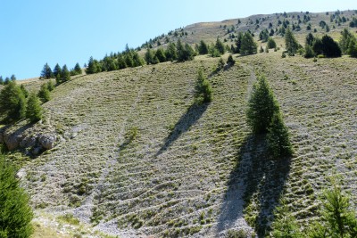 habitat near Beauvezer.JPG