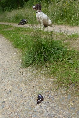 Flossie standing guard